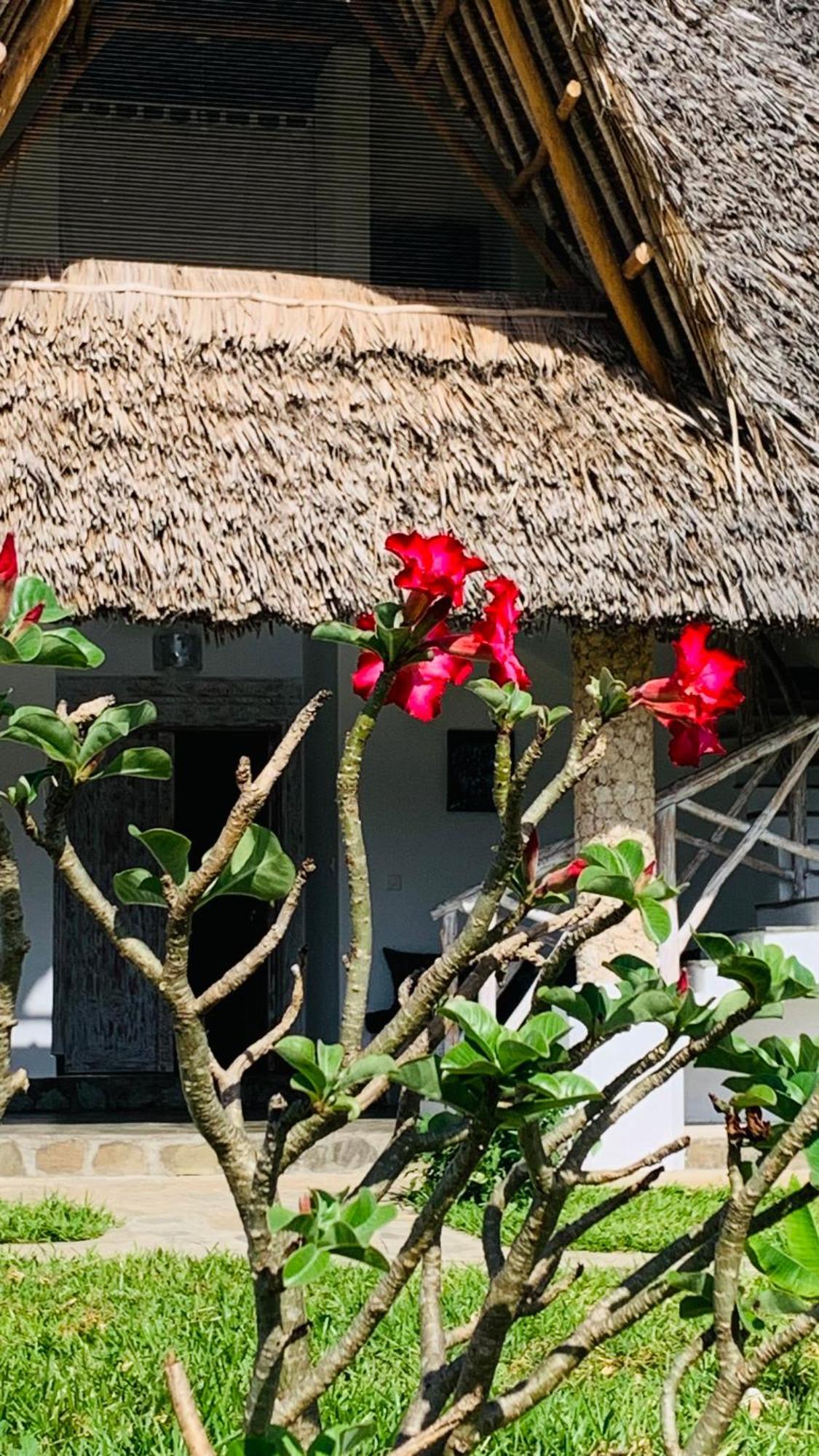 Nyuso Za Afrika Bed & Breakfast Watamu Exterior photo