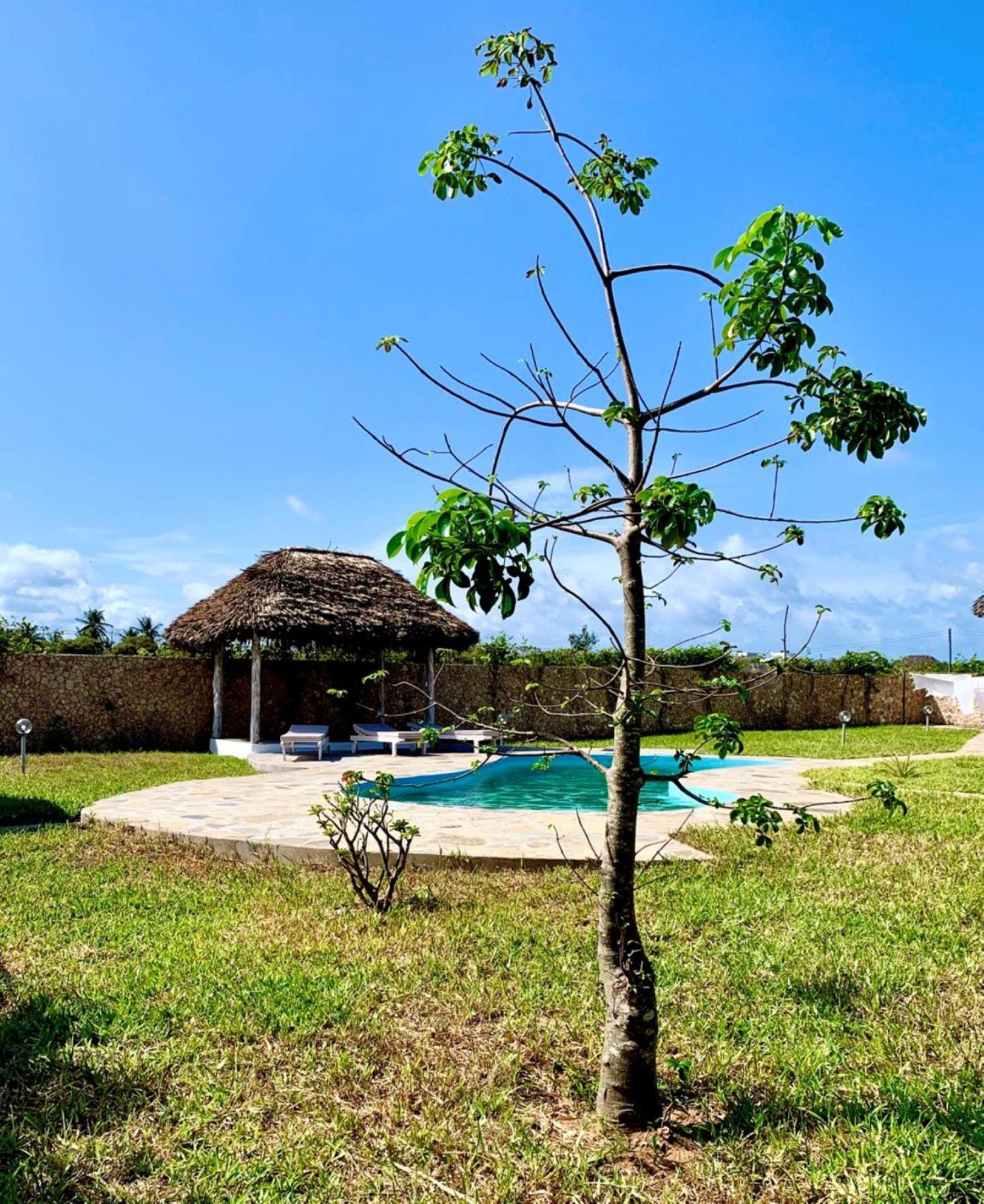 Nyuso Za Afrika Bed & Breakfast Watamu Exterior photo